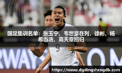 国足集训名单：张玉宁、韦世豪在列，徐彬、杨希当选，高天意回归